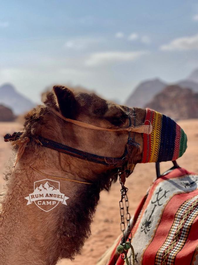 Rum Angel Camp Wadi Rum Exteriér fotografie