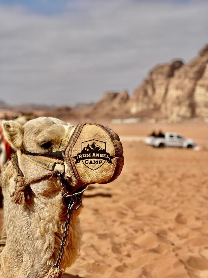 Rum Angel Camp Wadi Rum Exteriér fotografie