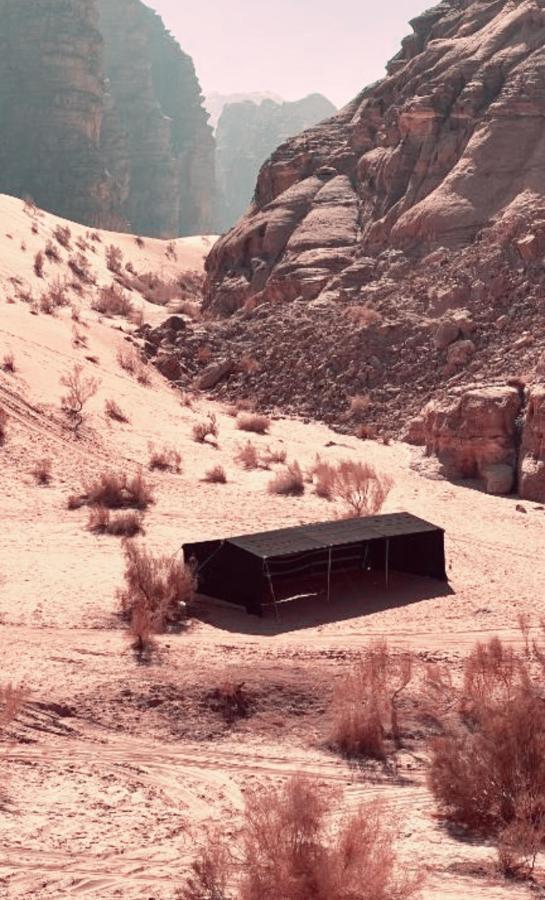 Rum Angel Camp Wadi Rum Exteriér fotografie